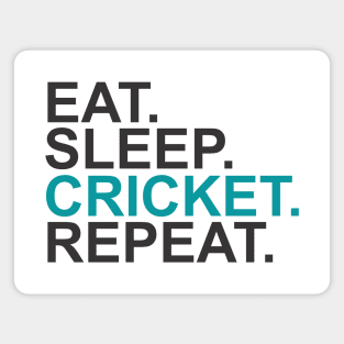 Eat Sleep Cricket Repeat Magnet